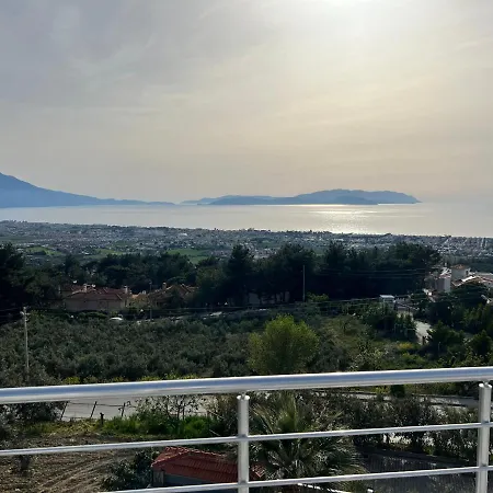 Senli فيلة *